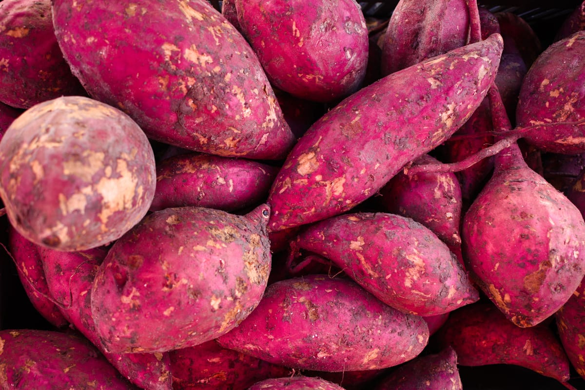 Can Dogs Eat Sweet Potatoes?