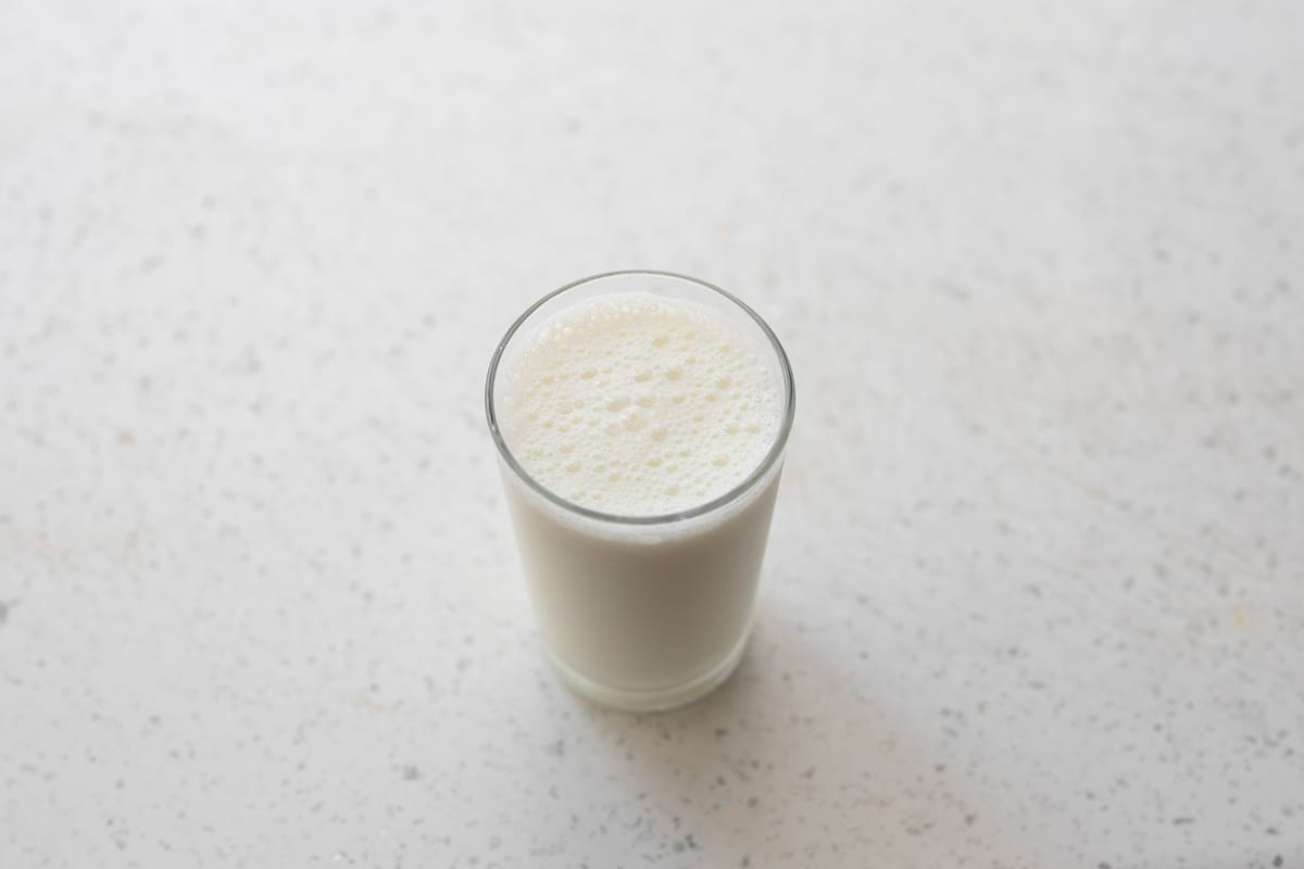 Can Dogs Drink Milk?