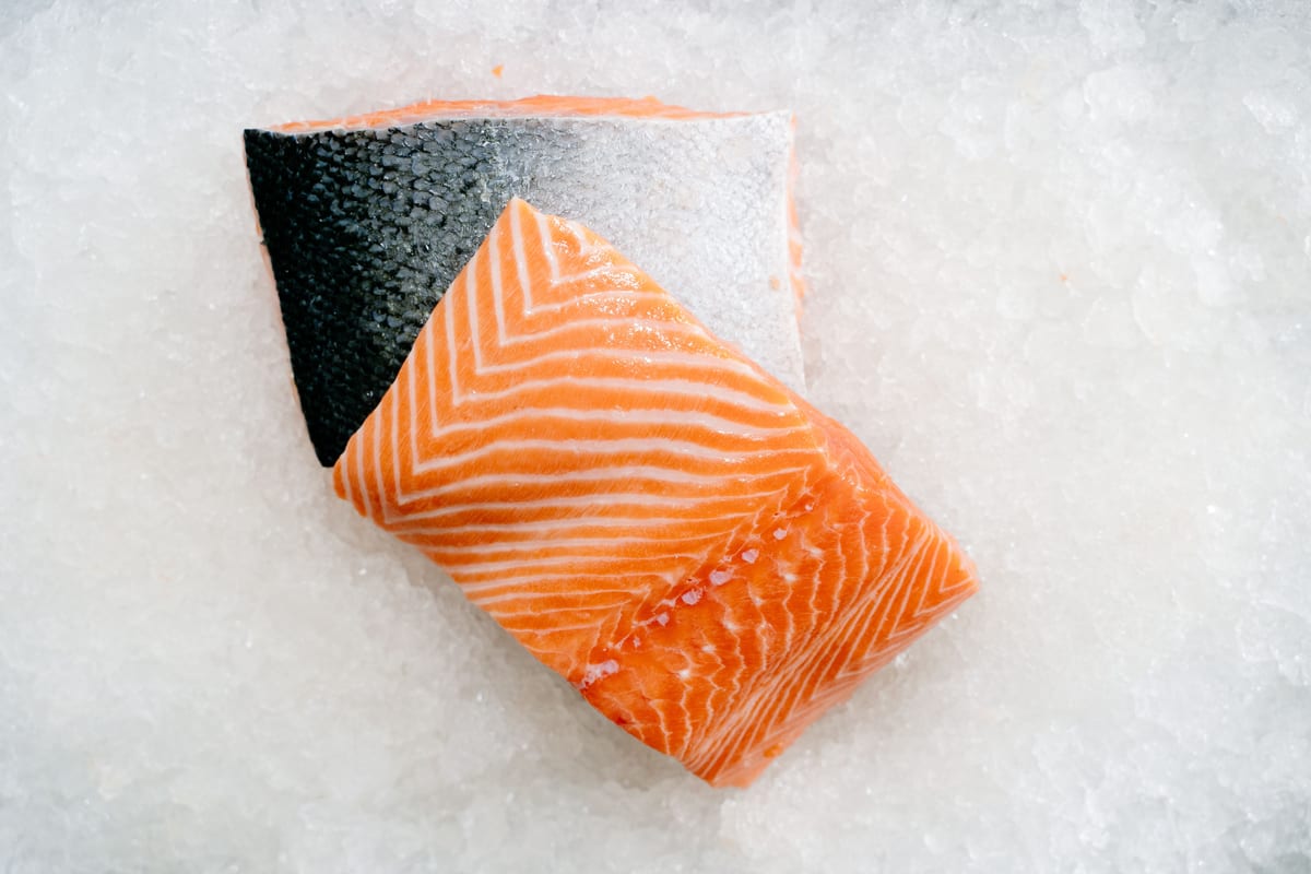 Salmon Oil for Dogs and Cats: Benefits, Limits, and What to Watch