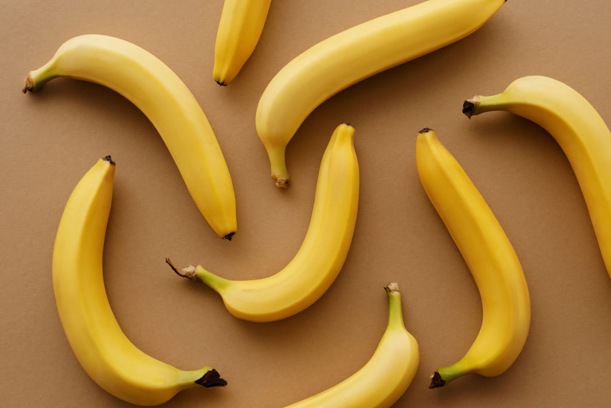 Can dogs eat bananas?
