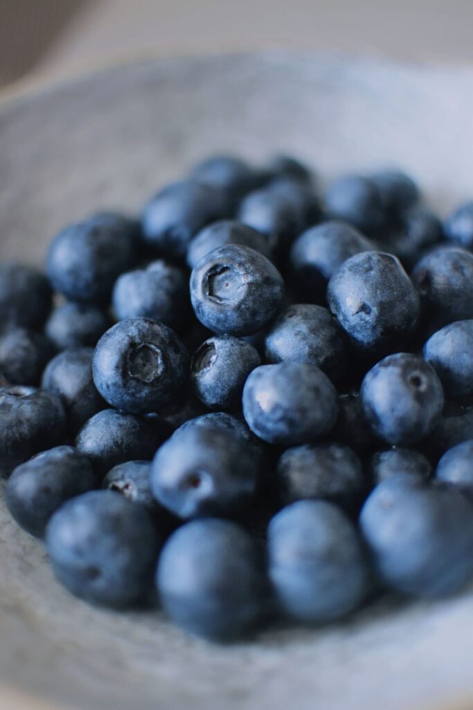 Fresh blueberries in a bowl, illustrating a dog food-safety article about blueberries