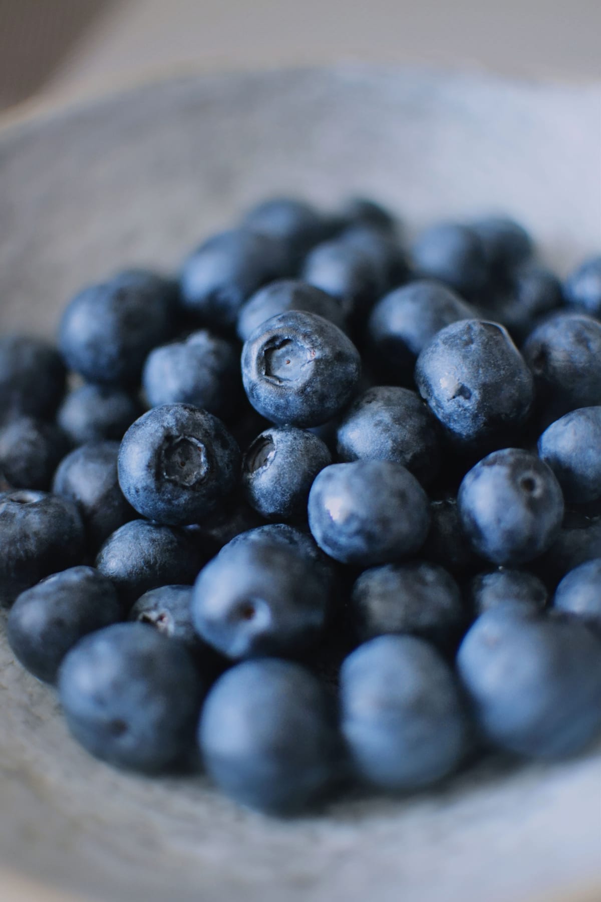 Can dogs eat blueberries?