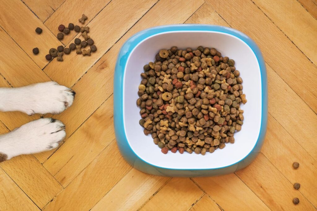 A bowl of dry dog kibble, illustrating an article on checking grain-free dog food
