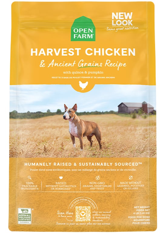 Harvest Chicken & Ancient Grains Dog Kibble