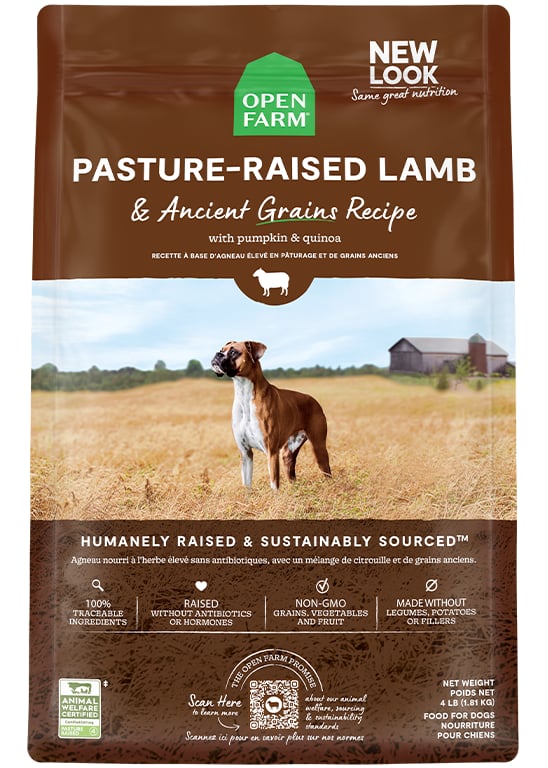Pasture-Raised Lamb & Ancient Grains Dog Kibble