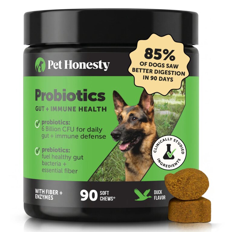 Pet Honesty Gut + Immune Health Digestive Probiotic Chews for Dogs (Duck Flavor)