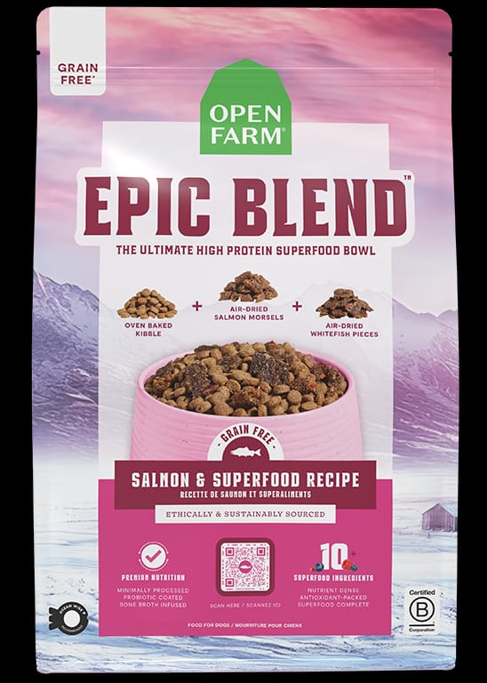 Epic Blend Salmon & Superfood Grain-Free Dog Kibble