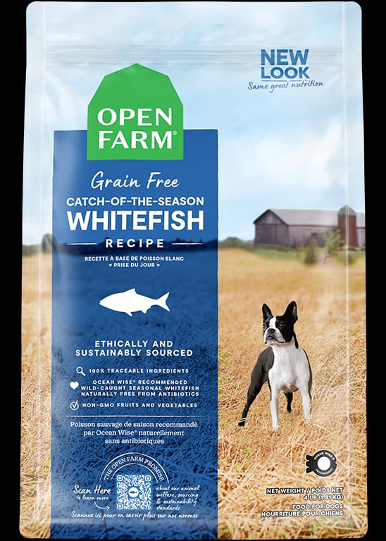 Whitefish Dry Dog Food