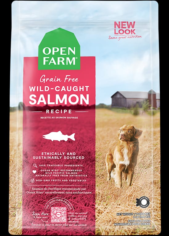 Wild-Caught Salmon Dry Dog Food